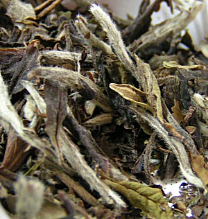 Pai Mu Tan. White Tea.